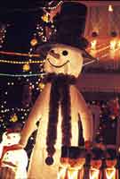 Snowman in Cove