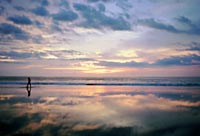 Beach sunset