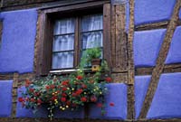 Colmar