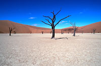 Dead Mans Vlei, Sossusvlei