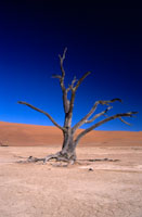 Dead Mans Vlei