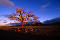 Sossusvlei