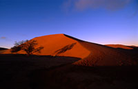 Dune 45, Sossusvlei