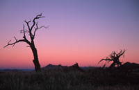 Sossusvlei sunset