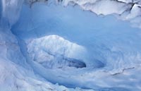 Franz Josef glacier