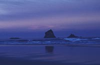 Beach near Dunedin