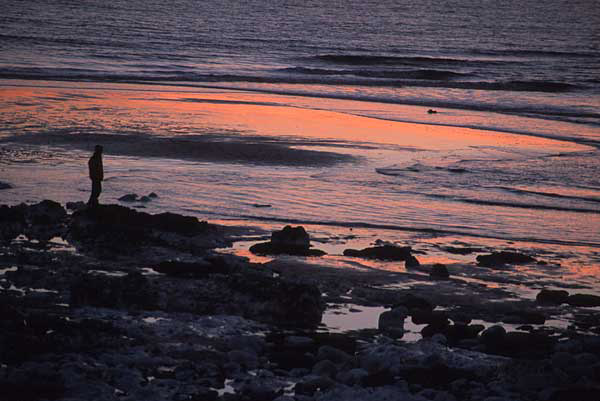 Rock pools, Birling Gap