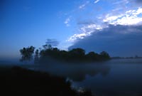 Sunrise in Richmond Park