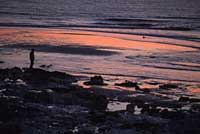 Rock pools, Birling Gap